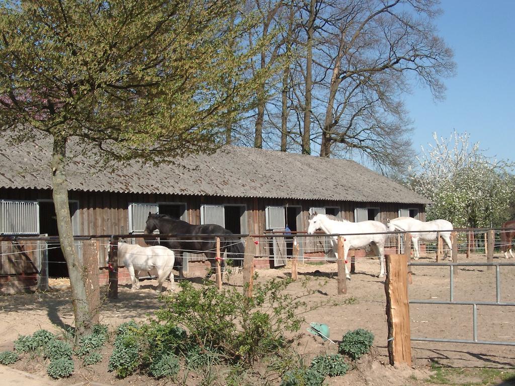Vila Ferienhof Schmidt Ankum Exteriér fotografie